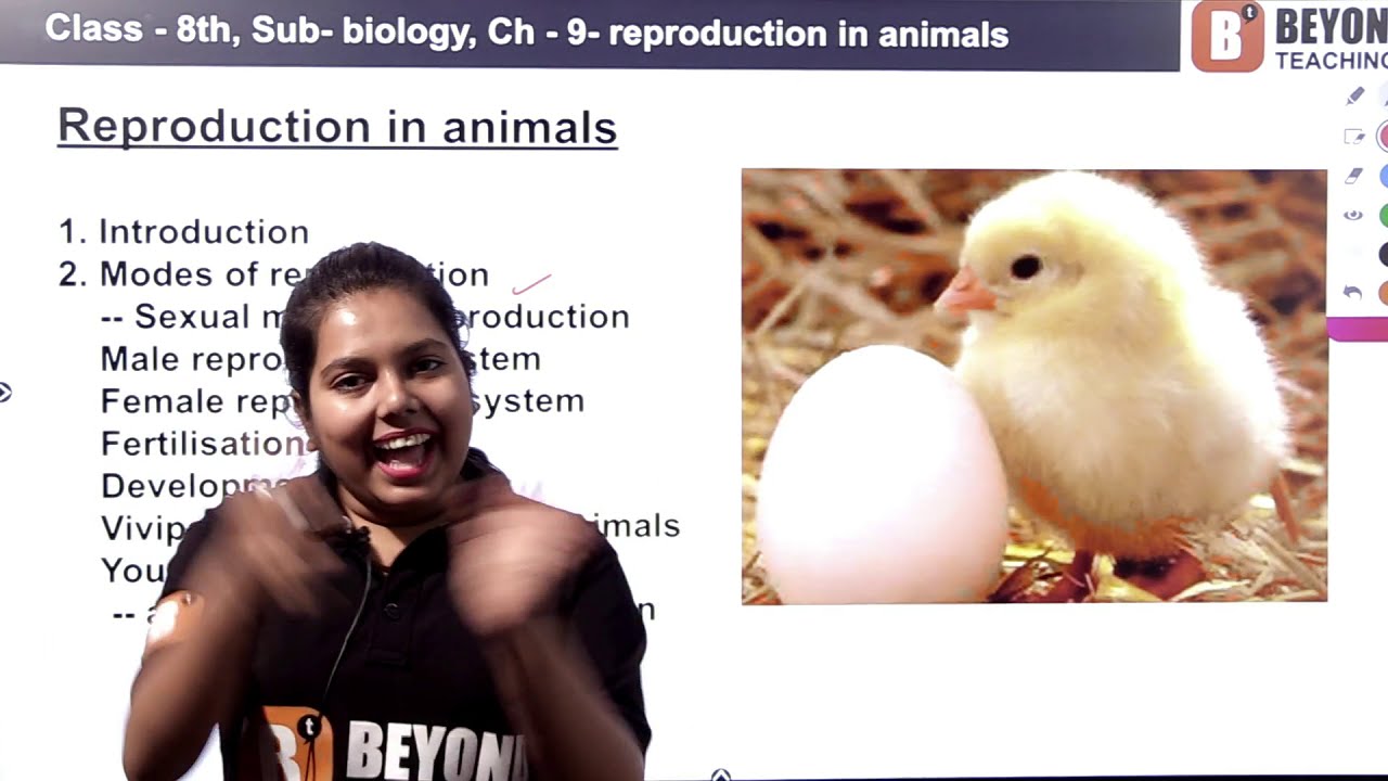 Reproduction in animals - Class 8th biology - Introduction and types of