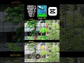 मोबाइल से ऐसी High Quality एडिटिंग कैसे करें? सीखें यहाँ! ✅📱#CinematicVideo #ShotOnPhone #ViralVideo