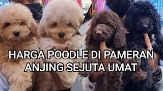 Harga Anjing Poodle Di Pet Bazaar