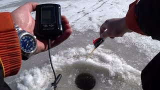 видео Эхолот для зимней рыбалки