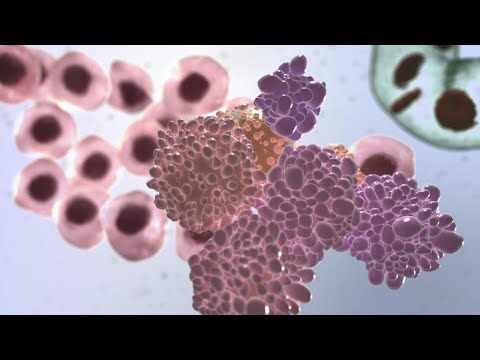How does cancer chemotherapy work?