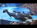 One Ocean Full Show (with Tilikum) @ SeaWorld Orlando | March 2015