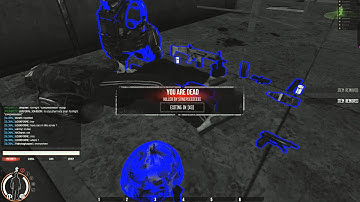 infestation SS hacker caught on video