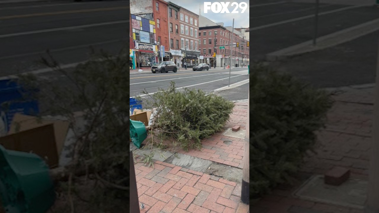 How soon is too soon when it comes to getting rid of your Christmas tree?