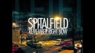 Spitalfield - Those Days You Felt Alive