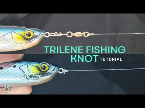 Trilene fishing knot tutorial - YouTube