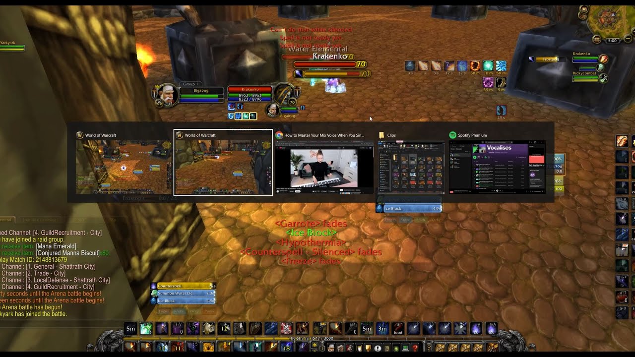 2v2 TBC But I'm playing both characters