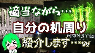 【実写】適当ながら自分の机周りの紹介