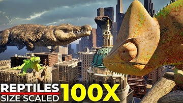 What If Reptiles Grew 100 Times Bigger? | Reptiles in Modern Cities | Imaginary Size Comparison