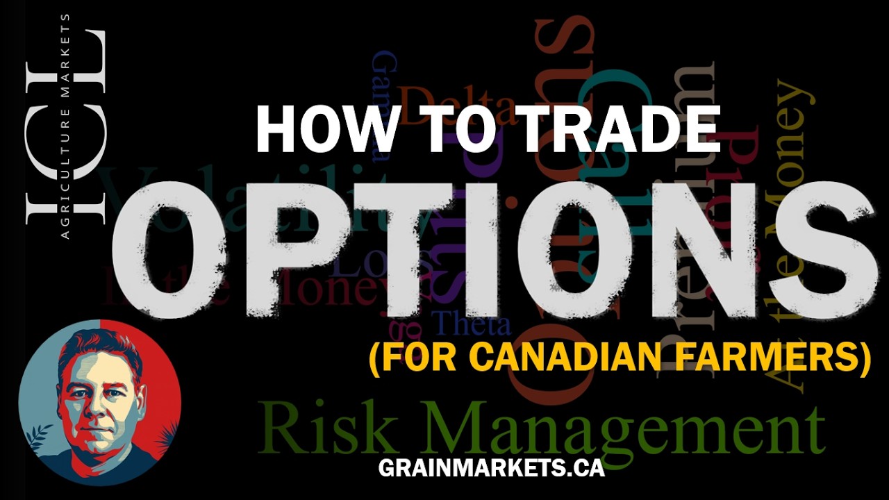 Как торговать опционами и хеджировать риски для получения прибыли. — Обзор для канадских фермеров.