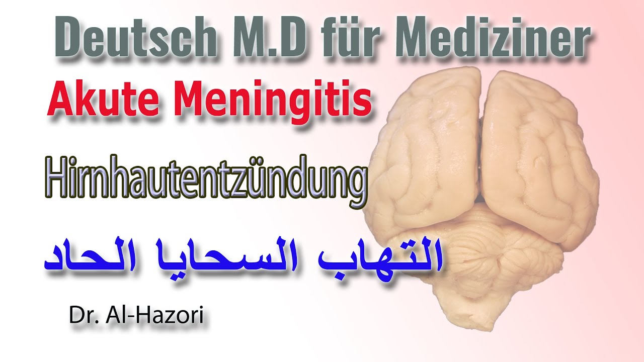 Akute #Meningitis - Hirnhautentzündung - #Deutsch für Mediziner التهاب ...