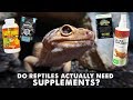 REPTILE SUPPLEMENTS - What They Do & Why We Use Them!