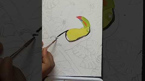Easy Watercolour Toucan Bird