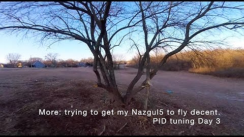 1/20/20 - Nazgul5 PID tuning day 3-BetaFlight 4.1, Bardwell CLI dum, Props IN why the oscillations?