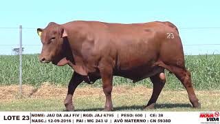 LOTE 23   JAJ 6795