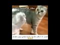 البنت اذا شافت شكلها قدام المرايه