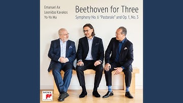 Piano Trio No. 3 in C Minor, Op. 1, No. 3: IV. Finale. Prestissimo