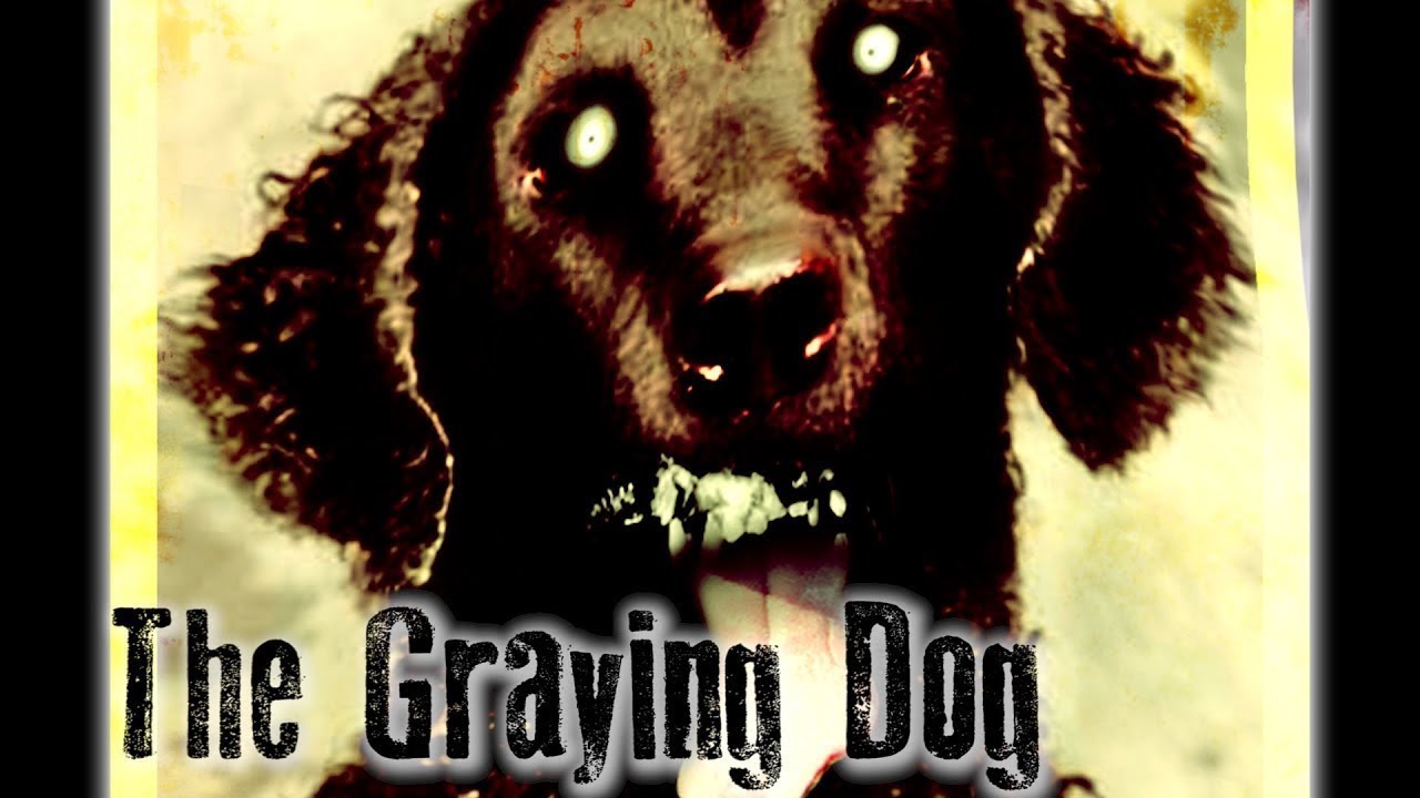 The Graying Dog Narrated by Saltyfank YouTube