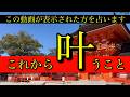 【これから願いが叶う人に出現する動画】開運‼️あなたの願い、叶います⛩【タロット占い・ルノルマン・オラクル・リーディング】