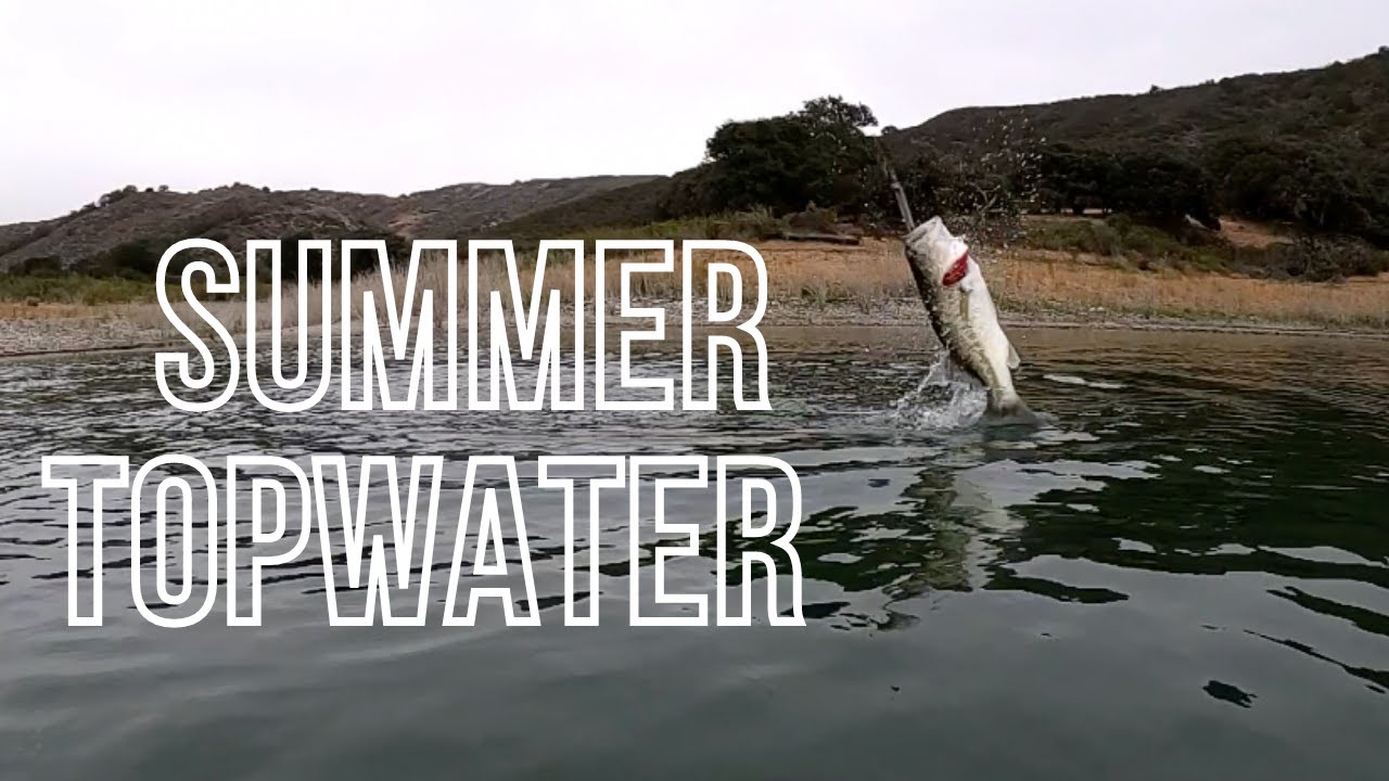 Best TOPWATER Bass Lures for Summer! YouTube
