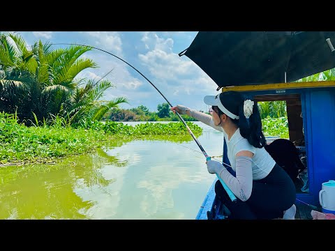 Trúng Bầy Cá Ẩn Dưới Lục Bình Ít Ai Biết | Làm Bữa Cơm 0 Đồng Dân Dã Secret Fish Spot Free Meal