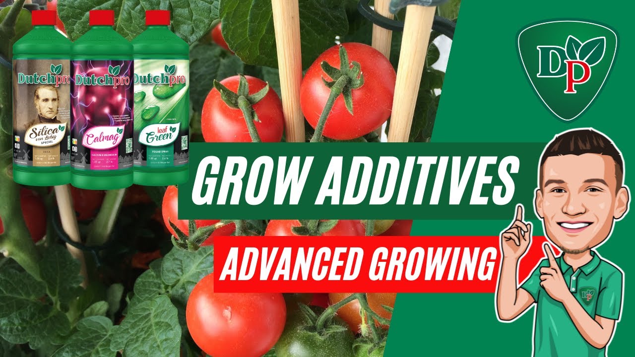Plant Nutrient Additives: What is an Advanced Growing Additive? | Dutchpro USA