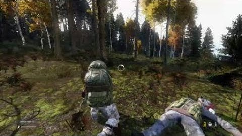 DayZ surrender gone wrong