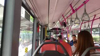 [SBS Transit]SBS6424Y on Service 371