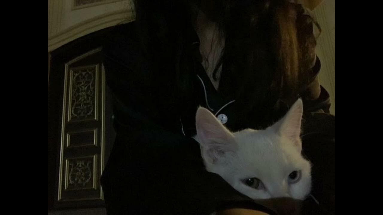 sgpwes + slump6s + devstacks + reglolia type beat juggernaut YouTube