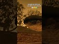 "Distance doesn't kill relations, misunderstandings do." #lifelessons #lifequotes #life #ytshorts