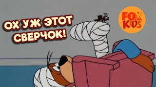 Ох уж этот сверчок! | Семья Барри