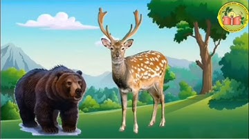 HĐ Khám Phá:Động Vật Sống Trong Rừng. Độ Tuổi 4-5T.GV:Nguyễn Thị Vân.Trường MN Cẩm Yên.