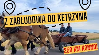 Rolnik z Podlasia jechał kilka dni konno na czempionat w Kętrzynie! Jak reagowali ludzie?