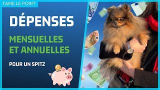 Quelles dépenses prévoir à l'arrivée d'un Spitz ?  : ✦ 100% #POMERANIAN