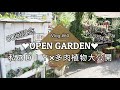 【Vlog#60】私のガーデンＤＩＹ×多肉植物大公開オープンガーデン【60回記念＆チャンネル登録4500名様突破ありがとう記念】