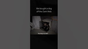 We Bought a Dog off the Dark Web..  #scary