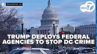 DC residents react to President Trump deploying federal law enforcement to stop crime