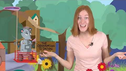 The Outdoor Library - Week 4 - Summer Reading Program 2020