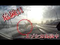 危険！！エゾシカ出没中
