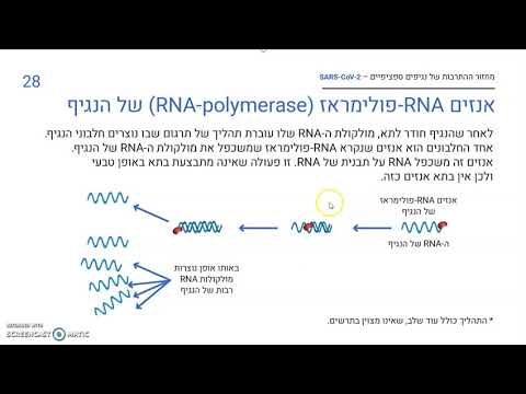 וִידֵאוֹ: איזה סוג של אנזים מבודד מרטרו-וירוסים ומשמש לייצור Cdna?