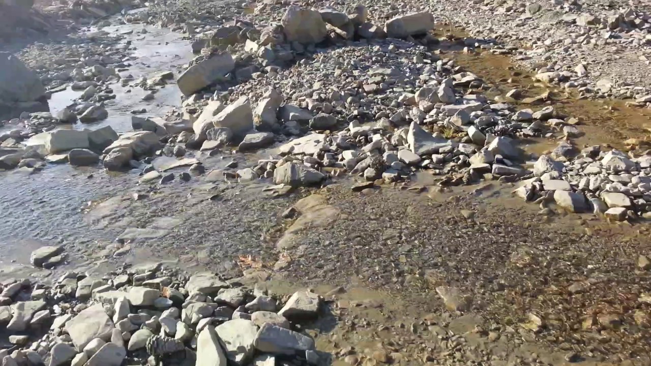 Çorum osmancık gökdere köyü nün  eşsiz güzel ormanı