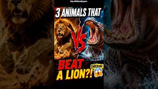 3 ANIMAL FACT 😱💀#facts #amazingfacts #universe #shorts #ytshorts #viral