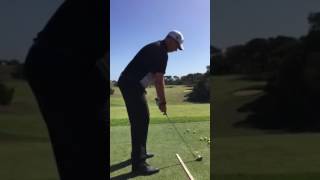 Bio Swing Dynamics  on Range 1