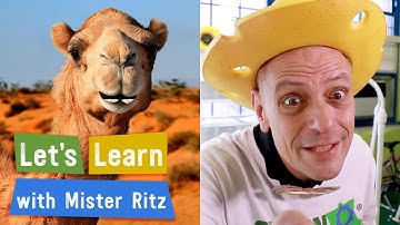 Can You Really Grow Food in a Desert? 🏜️ | Let