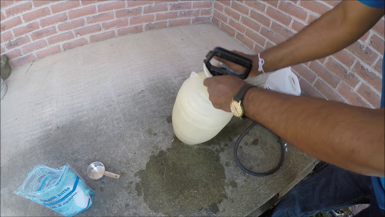 Home Made Weed Killer Weed killer Vinegar, Salt & Dish Soap YouTube
