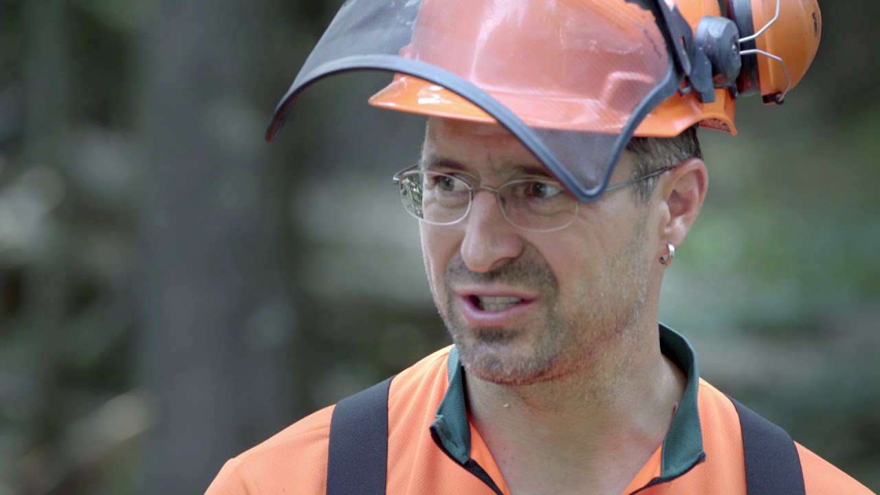 Holzrücken mit Schlepper und Seilwinde | Tutorial der Bayerischen Staatsforsten