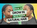 LITTLE KNOWN Tips to GROW Healthier HAIR