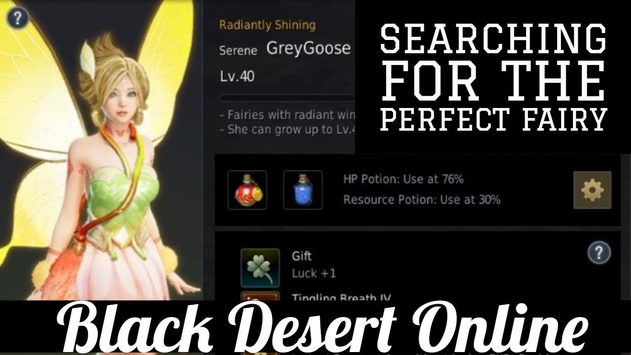 Black Desert Online [BDO] Searching For The Perfect Fairy YouTube