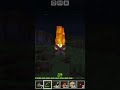 Minecraft adventure