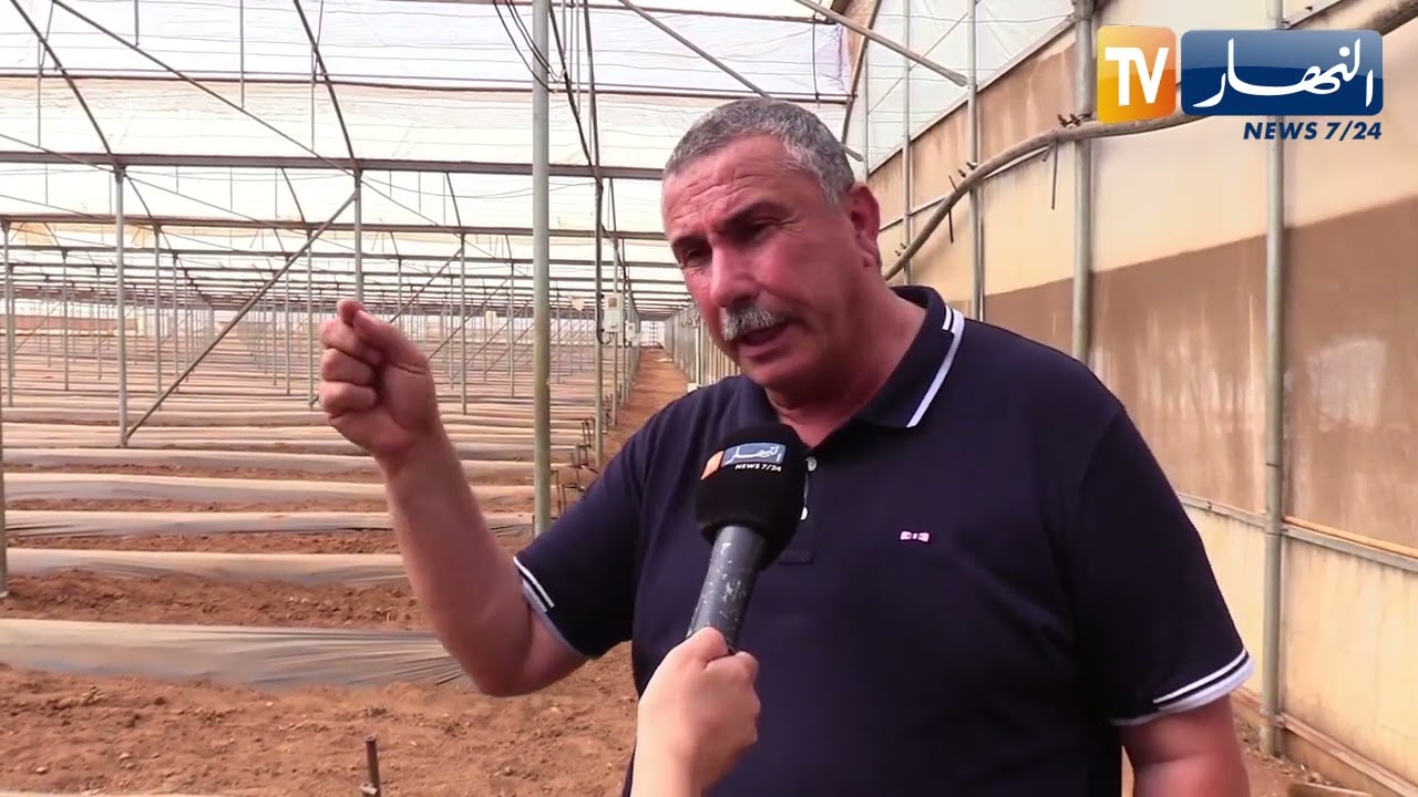 فلاحة: البيوت البلاستيكية ذات القبب.. رفع إنتاج الخضروات بثلاث أضعاف